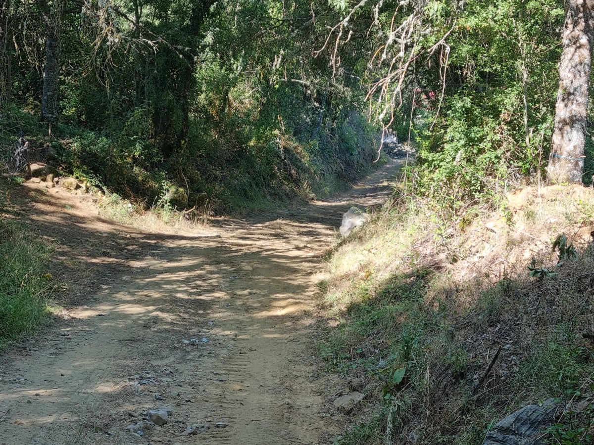 União de Freguesias de Castrelos e Carrazedo