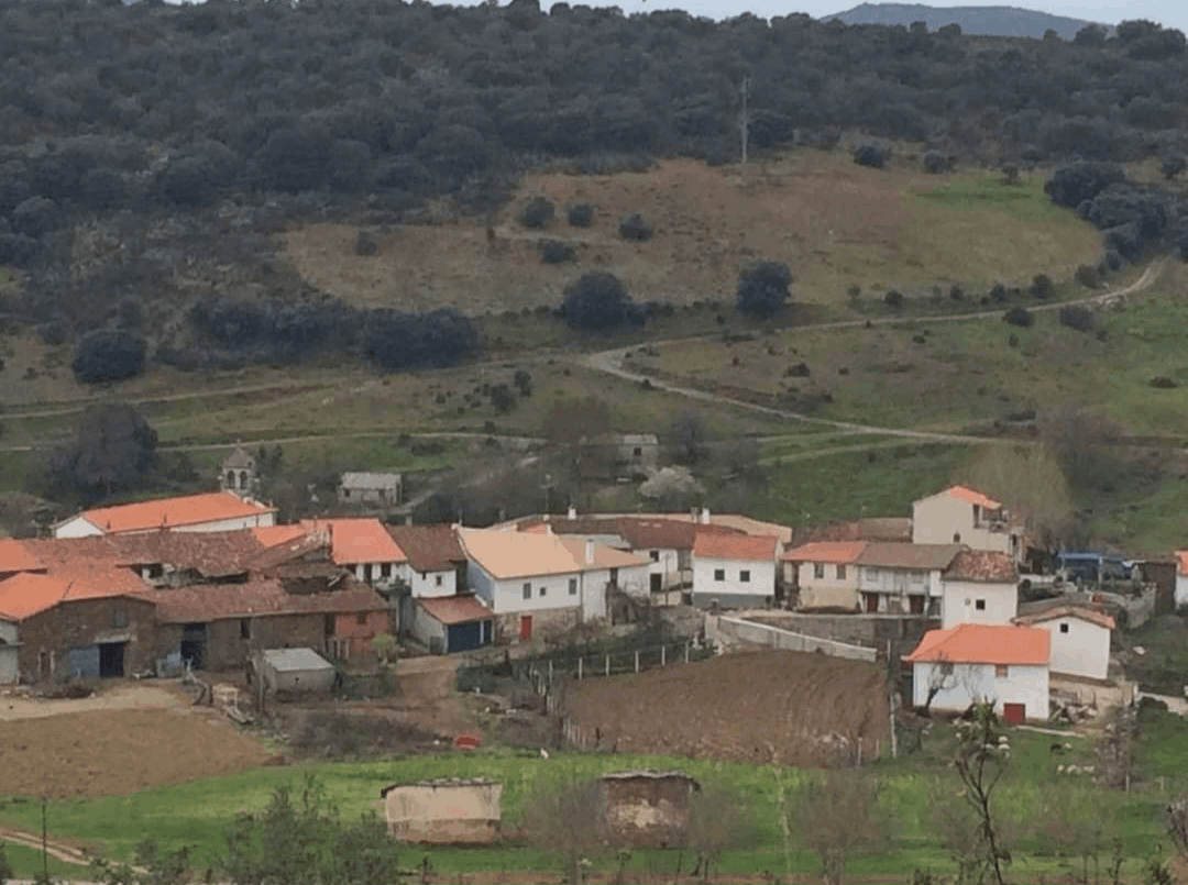 União de Freguesias de Castrelos e Carrazedo
